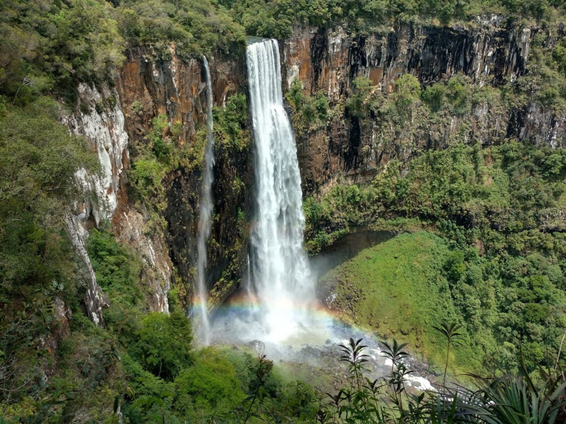 Trilhas de cachoeiras famosas do Paraná serão fechadas para remoção de espécies invasoras